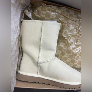 original uggs classic short in sugar